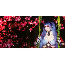 Ashnikko / Demidevil: Special Edition (coloured) (1LP)