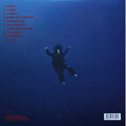 Billie Eilish - Hit Me Hard And Soft (Black Vinyl LP)