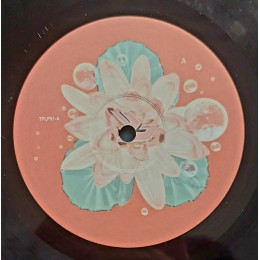 Björk – Post LP