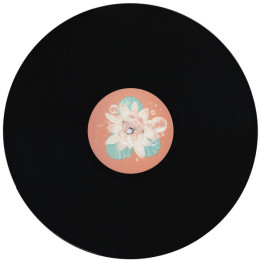 Björk – Post LP