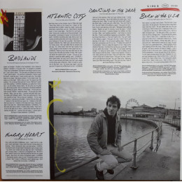 Springsteen, Bruce - Best Of (Limited Atlantic Blue Vinyl 2LP)