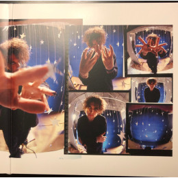 The Cure / Greatest Hits (2LP)
