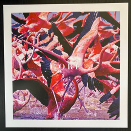 Deftones – Gore (coloured) (2LP)
