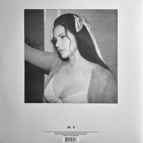 Lana Del Rey / Did You Know That There's A Tunnel Under Ocean Blvd (alternative artwork) (2LP)