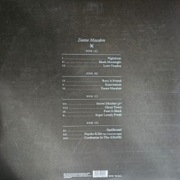 Duran Duran - Danse Macabre (2LP)