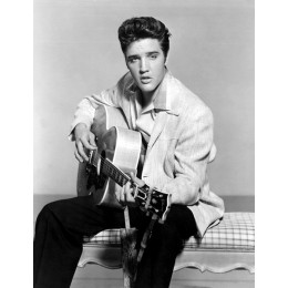 ELVIS PRESLEY - THE NUMBER ONE HITS 1956-1962 (180 GR)