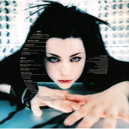 Evanescence - Fallen (20th Anniversary Edition)(Deluxe Edition)(2LP)