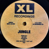 Виниловая пластинка JUNGLE / For Ever (LP)