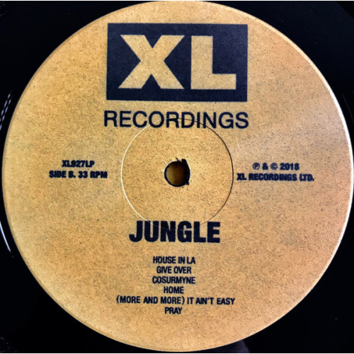 Виниловая пластинка JUNGLE / For Ever (LP)