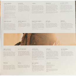 Lil Wayne - I Am Music (2LP)