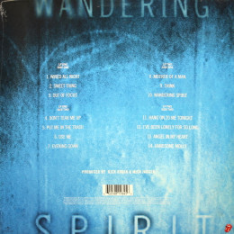 Mick Jagger / Wandering Spirit (2LP)