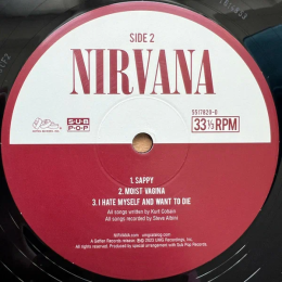 Nirvana / In Utero (30th Anniversary Limited Edition)(LP+10"Vinyl Single)