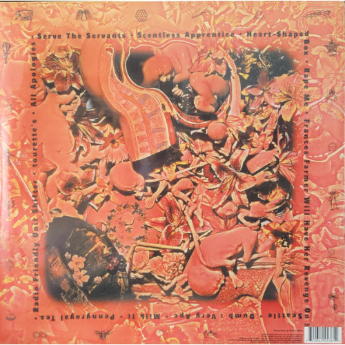 Виниловая пластинка Nirvana – In Utero LP