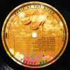 Виниловая пластинка Panic! At The Disco – Pretty Odd (1LP)