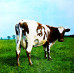 Pink Floyd ATOM HEART MOTHER