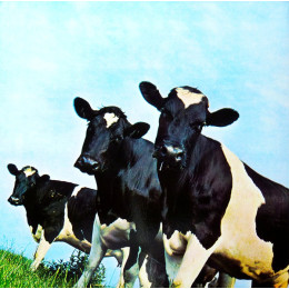 Pink Floyd ATOM HEART MOTHER
