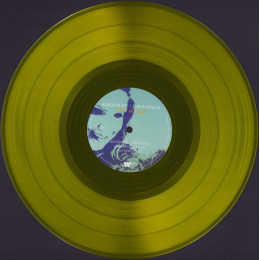 Robert Plant & Alison Krauss / Raise The Roof (Coloured Vinyl)(2LP)
