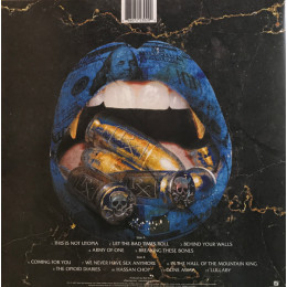 The Offspring / Let The Bad Times Roll (LP)
