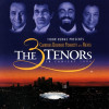 The 3 tenors THE 3 TENORS IN CONCERT 1994 (180 Gram/Gatefold)
