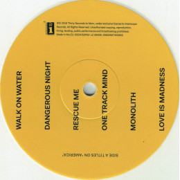 Thirty Seconds To Mars - America (LP)