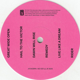 Thirty Seconds To Mars - America (LP)