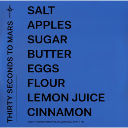 Thirty Seconds To Mars - America (LP)