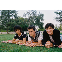 Wallows / Model (Clear Vinyl) (1LP)
