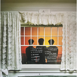 Wallows / Model (Clear Vinyl) (1LP)