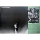 A Deer A Horse – Texas Math