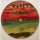 Paak Anderson / Malibu (2LP)