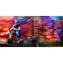 Ashnikko / Demidevil: Special Edition (coloured) (1LP)