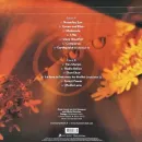 Deep Forest / Comparsa (Green) (1LP)