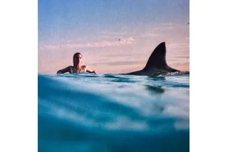 Dua Lipa / Tba (Blue Vinyl) (1LP)