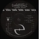 Evanescence - Fallen (20th Anniversary Edition)(Deluxe Edition)(2LP)