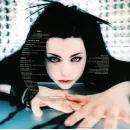 Evanescence - Fallen (20th Anniversary Edition)(Deluxe Edition)(2LP)