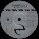 Evanescence - Fallen (20th Anniversary Edition)(Deluxe Edition)(2LP)