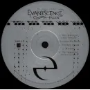 Evanescence - Fallen (20th Anniversary Edition)(Deluxe Edition)(2LP)