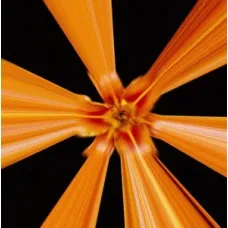 Gruppa Skryptonite / Потеплело (coloured) (1LP)  