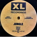 JUNGLE / For Ever (LP)