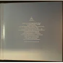 Виниловая пластинка Panic! At The Disco - Viva Las Vengeance (LP) 075678637629