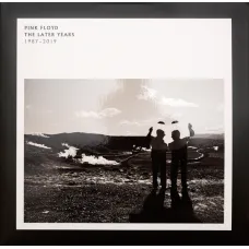 Pink Floyd, The Best Of The Later Years 1987-2019 (180 Gram Black Vinyl/Gatefold/Booklet)