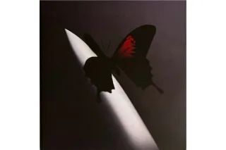 Post Malone – Twelve Carat Toothache (RED COLOUR, 2 LP)