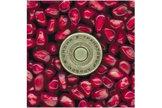 Сплин - Гранатовый альбом (Limited 180 Gram Creamy White Vinyl LP)