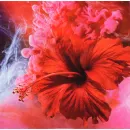 Schiller - Epic (2LP)