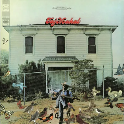 Taj Mahal — TAJ MAHAL (LP)