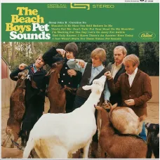 The Beach Boys / Pet Sounds (LP)