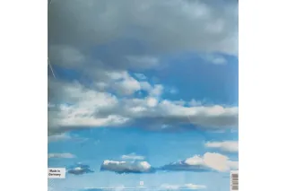 Thirty Seconds To Mars - It's The End Of The World But It's A Beautiful Day (Coloured Vinyl)(LP)