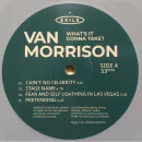 Van Morrison / What's It Gonna Take? (Limited Edition)(Coloured Vinyl)(2LP)