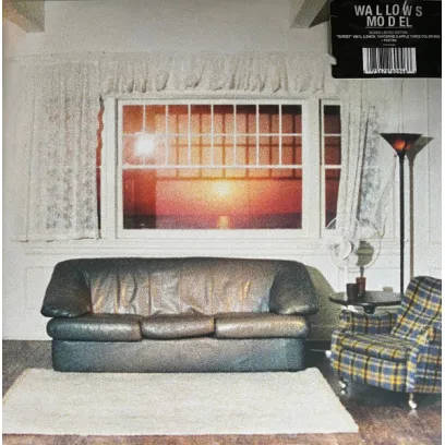 Wallows / Model (Clear Vinyl) (1LP)