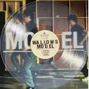 Wallows / Model (Clear Vinyl) (1LP)